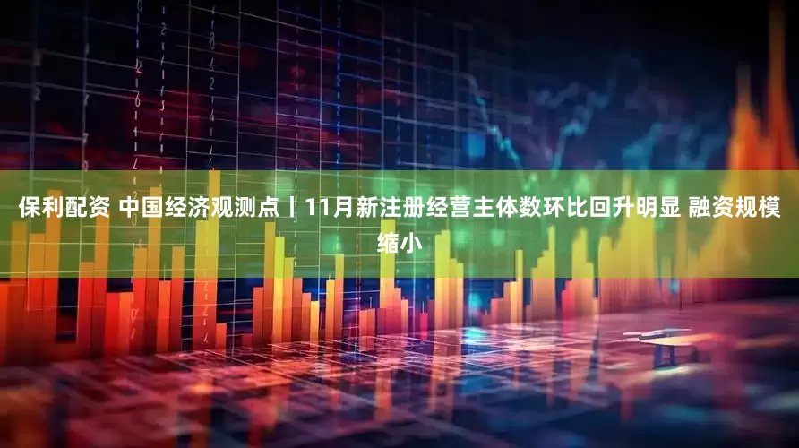 保利配资 中国经济观测点丨11月新注册经营主体数环比回升明显 融资规模缩小