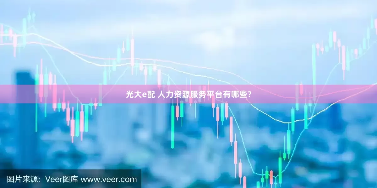 光大e配 人力资源服务平台有哪些？